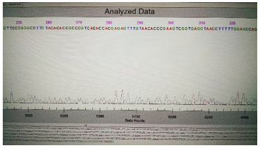 16S Sequencing